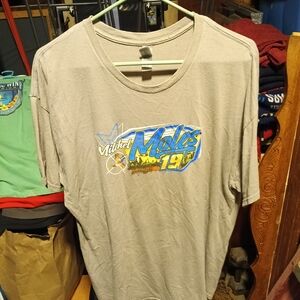 Gildan Gray Graphic Tee with Blue and Yellow Design
